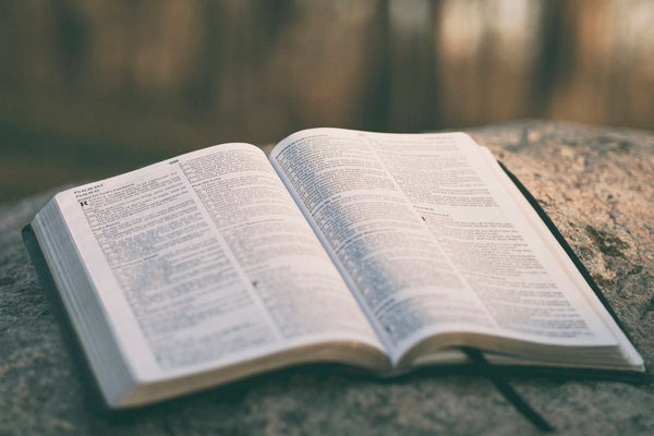 Clothed in His Word | KJV Scripture Tees & Faith Gifts - KJV Word & Light Threads