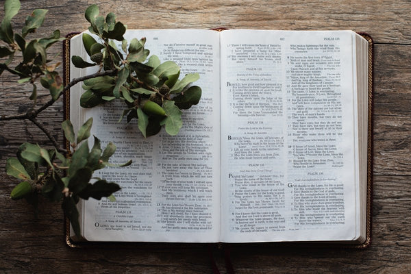 Express your faith with KJV scripture T-shirts! Discover Bible verse apparel and meaningful gifts that uplift believers. Shop now for best Christian gifts! - KJV Word & Light Threads