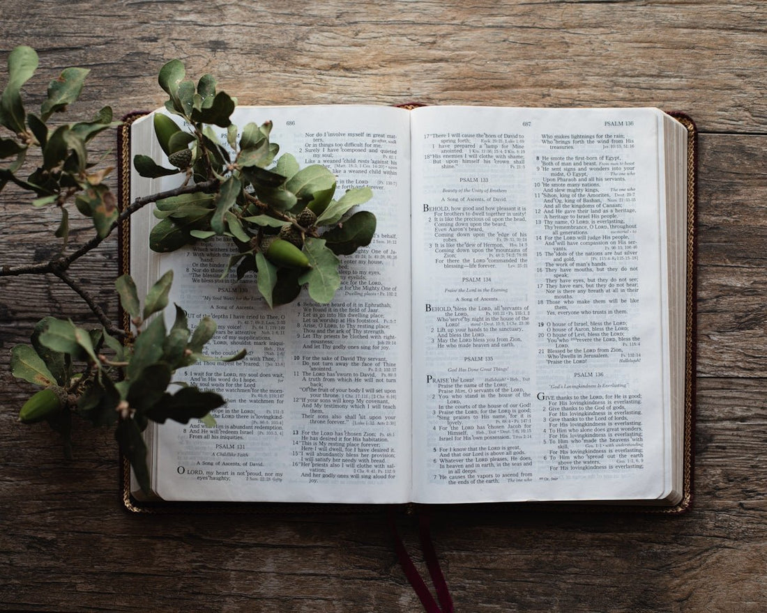 Express your faith with KJV scripture T-shirts! Discover Bible verse apparel and meaningful gifts that uplift believers. Shop now for best Christian gifts! - KJV Word & Light Threads