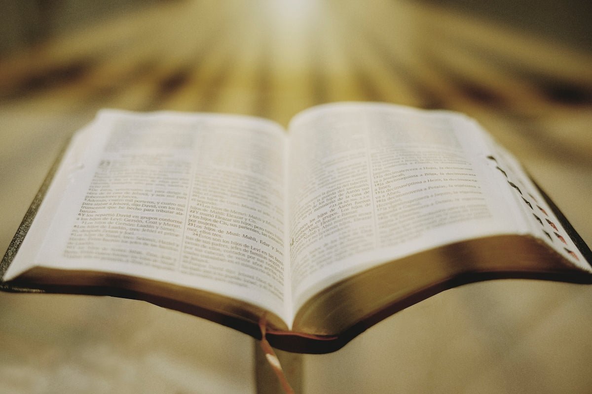 KJV Scripture Christian T-Shirts Guide - KJV Word & Light Threads